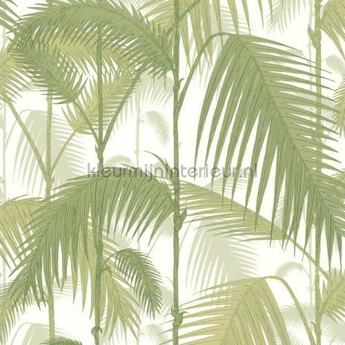 Palm Jungle wallcovering 95-1001 romantic Cole and Son