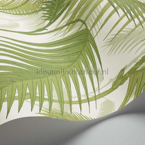 Palm Jungle wallcovering 95-1001 romantic Cole and Son