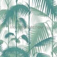 Palm Jungle behaang Cole and Son Contemporary Restyled 95-1002