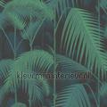 Palm Jungle wallcovering 95-1003 romantic Styles