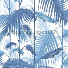 Palm Jungle papier peint Cole and Son Contemporary Restyled 95-1005