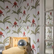 Orchid papel pintado Cole and Son rayas 