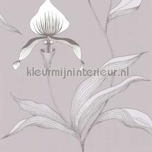 Orchid papier peint Cole and Son Contemporary Restyled 95-10055