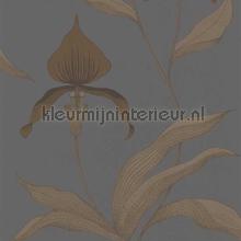 Orchid papel pintado Cole and Son rayas 