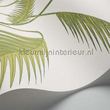 Palm leaves papel pintado Cole and Son papel pintado Top 15 