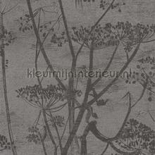 Cow Parsley papel de parede Cole and Son quadrado 