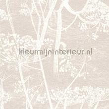 Cow Parsley papel de parede Cole and Son quadrado 