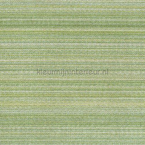 Zebrino green papel de parede 67151 Contract Pocket Arte