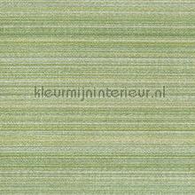 Zebrino green tapeten 67151 Contract Pocket Arte