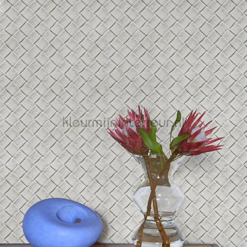 edgar wallcovering 6600034 Core Coordonne