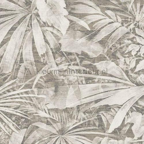 Grove wallcovering 13521 Curiosa Arte