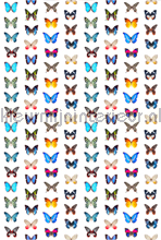 Vlinders - blauw/oranje papier murales CC_MLE_10220 Curious Collections