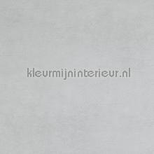 63281 behang BN Wallcoverings behang 