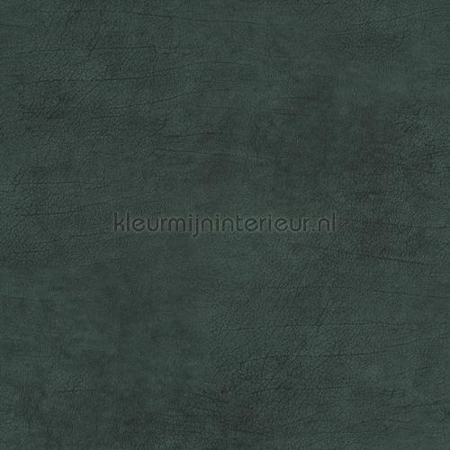 constante kat Maand Diep turquoise groen leer 17935 behang Curious BN Wallcoverings