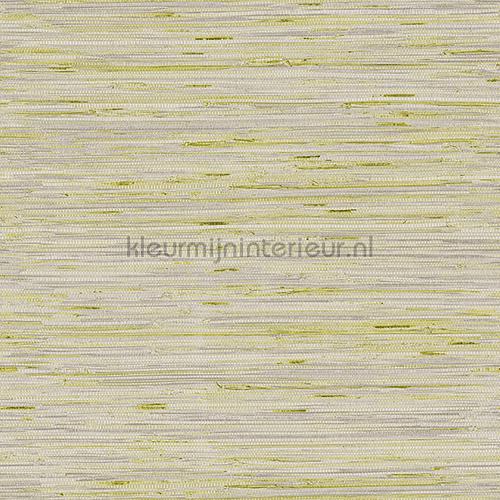 Lustrous Grasscloth behang y6201605 Dazzling Dimensions York Wallcoverings