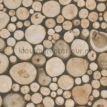 Openhaard hout papier peint AS Creation Dekora Natur 6 95836-1