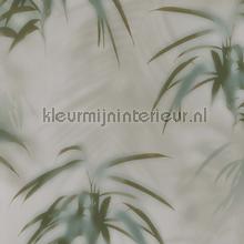 Edward van Vliet faded palms papier peint BN Wallcoverings offre 