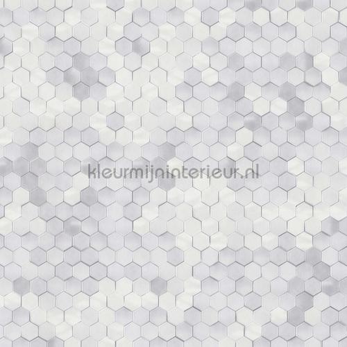 hexagon ritmepatroon 219580 behang Dimensions Wallcoverings