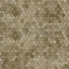 Edward van Vliet hexagon ritmepatroon carta da parati 219587 sale wallcovering BN Wallcoverings