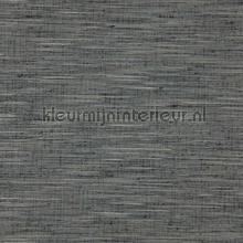 Driftwood 20 steel grey carta da parati driftwood-20 speciale DWC