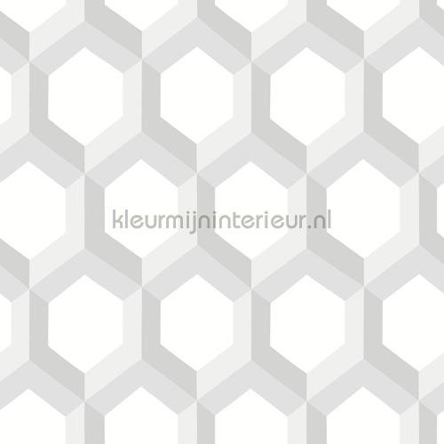 Papel Tapiz Hexagonal 3D Gris - Papel Tapiz De Vinilo Con Textura Gris