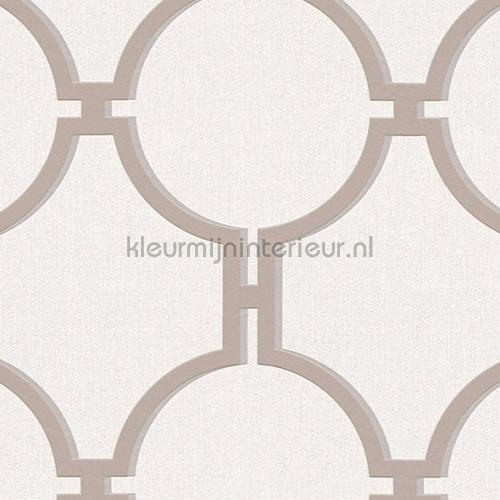 3d trellis behang 361493 aanbieding behang AS Creation