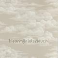 silvi clouds tapet 216600 Cottage Stilarter