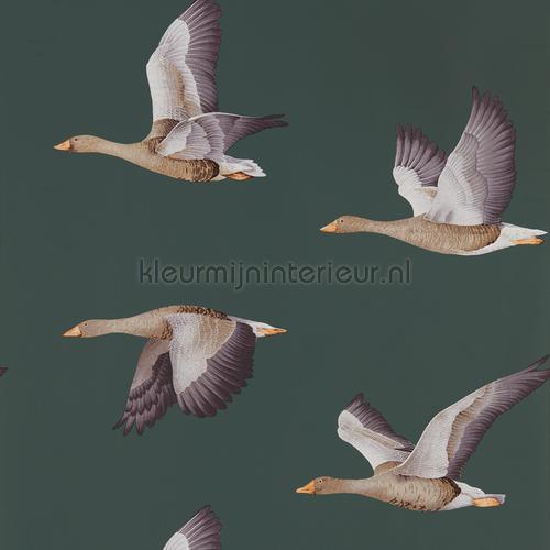 elysian geese behaang 216608 Engelse blukskes Sanderson