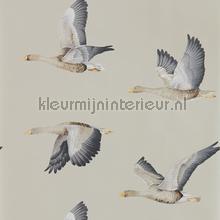 elysian geese papier peint Sanderson Elysian 216611