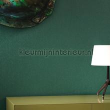 Meru wallcovering Hookedonwalls Exotique 17212