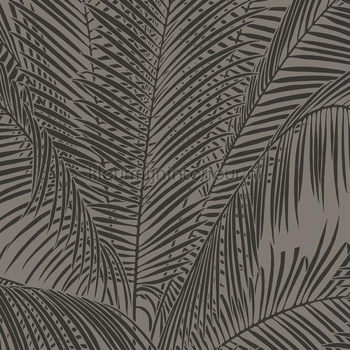 Sabal 17243 Papier Peint Exotique Hookedonwalls