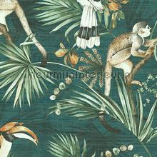 Sumatra papel de parede Arte Vendimia Velhos 