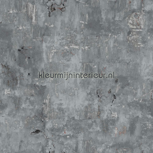 Staal papel de parede EW3502 Collected Dutch Wallcoverings