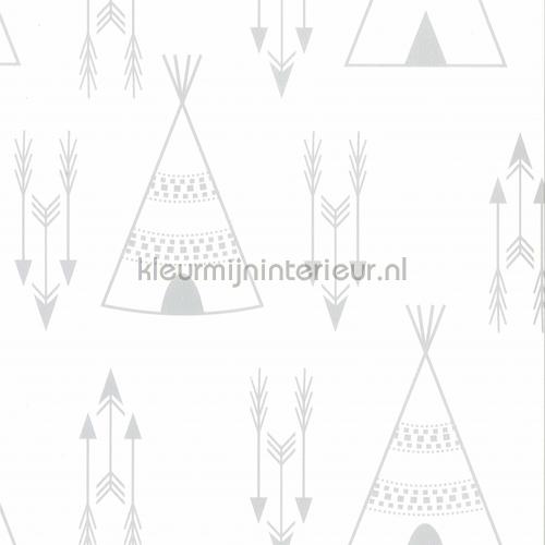 Tipi grijs tapeten 67107-1 Fabulous World Noordwand