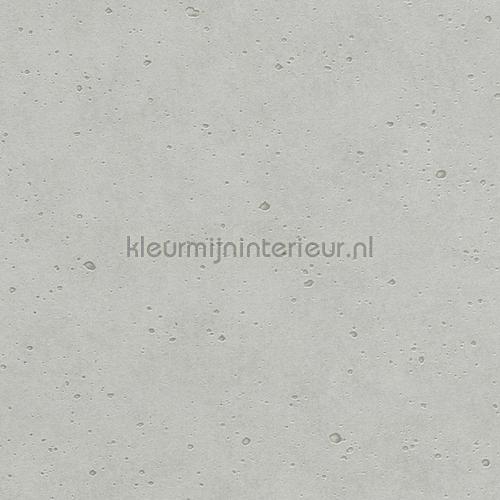Echt beton behang 475210 aanbieding behang Rasch