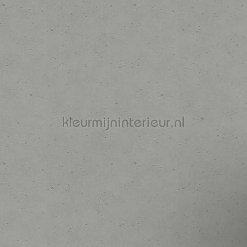 Echt beton papier peint 475210 offre Rasch