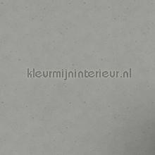 Echt beton behang 475302 aanbieding behang Rasch