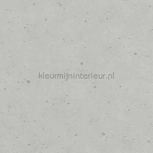 Echt beton behang 475302 aanbieding behang Rasch