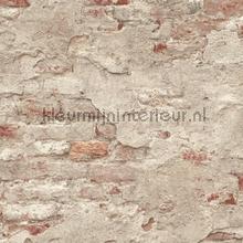Bakstenen met oude stuclaag wallcovering Rasch sale wallcovering 