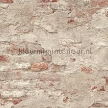 Bakstenen met oude stuclaag wallcovering 939323 sale wallcovering Rasch