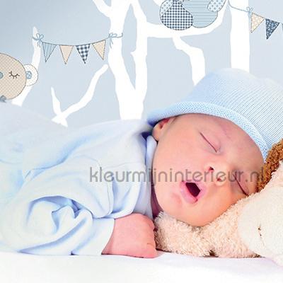 Slapende beertjes blauw behang 303203 Baby - Peuter Rasch