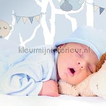 Slapende beertjes blauw behang 303203 Baby - Peuter Rasch