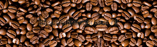 Coffee beans rand behang BD-026-20 randen Kleurmijninterieur