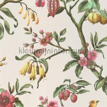  papier peint 220446 Exotique BN Wallcoverings