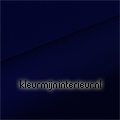 navy blauw