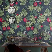 Frutto Proibito papel de parede 114-25049 Trendy Cole and Son