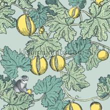 Frutto Proibito wallcovering Cole and Son Vintage- Old wallpaper 