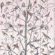 Uccelli wallcovering Cole and Son Vintage- Old wallpaper 