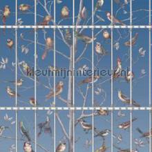 Uccelli wallcovering Cole and Son Vintage- Old wallpaper 
