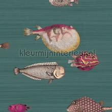 Acquario wallcovering Cole and Son Vintage- Old wallpaper 